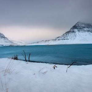 Blue Fjord